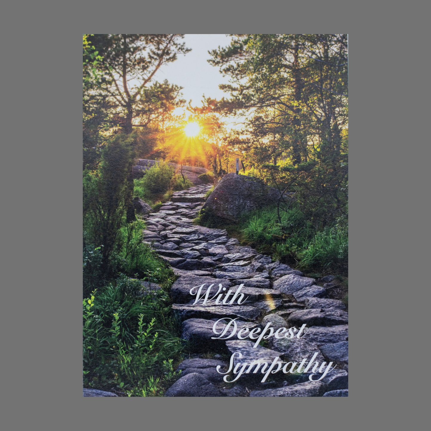Pack of 4 - "With Deepest Sympathy" with Stone Path (20060)