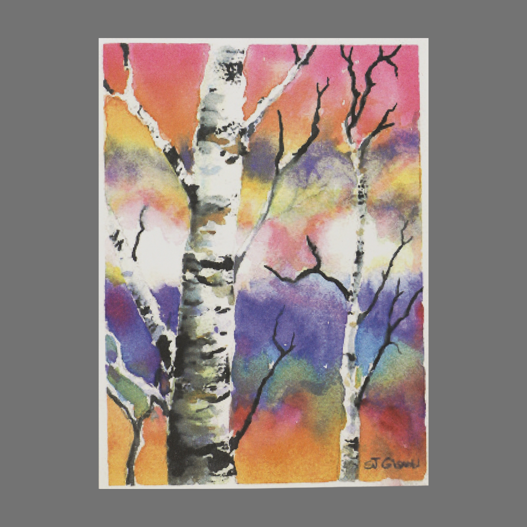 Pack of 4 - Birch Tree with Sunset Colors Behind (20003)