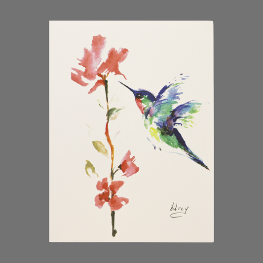 Pack of 4 - Hummingbird at Pink Flowers (20008)