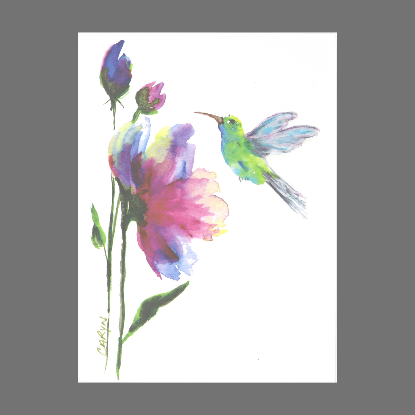 Pack of 4 - Hummingbird at Tall Flowers (20058)