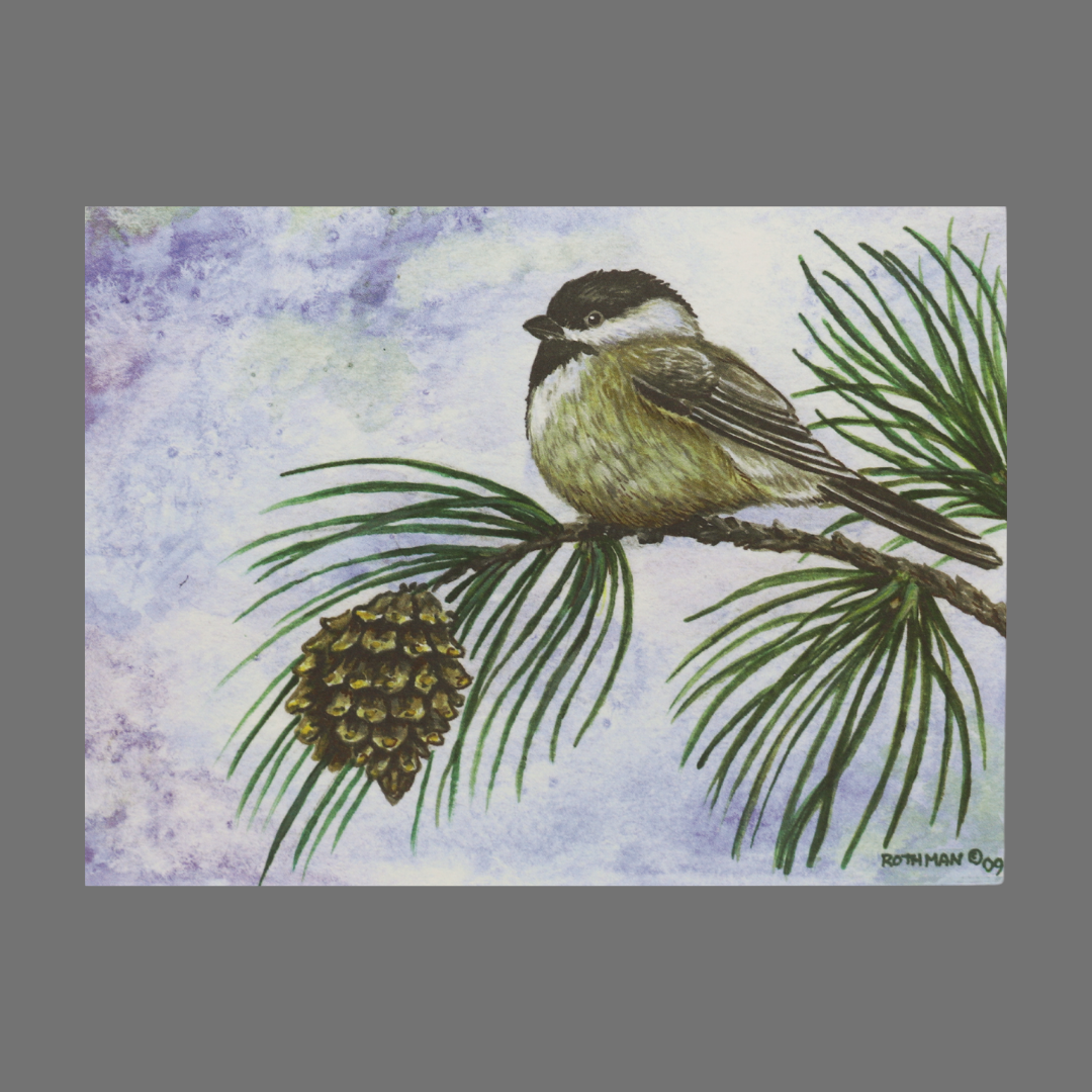 Pack of 4 - Small Bird on Evergreen Branch with Pinecone (20031)