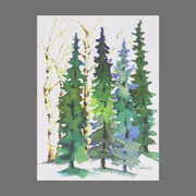 Pack of 4 - Tall Evergreen Tress (20059)