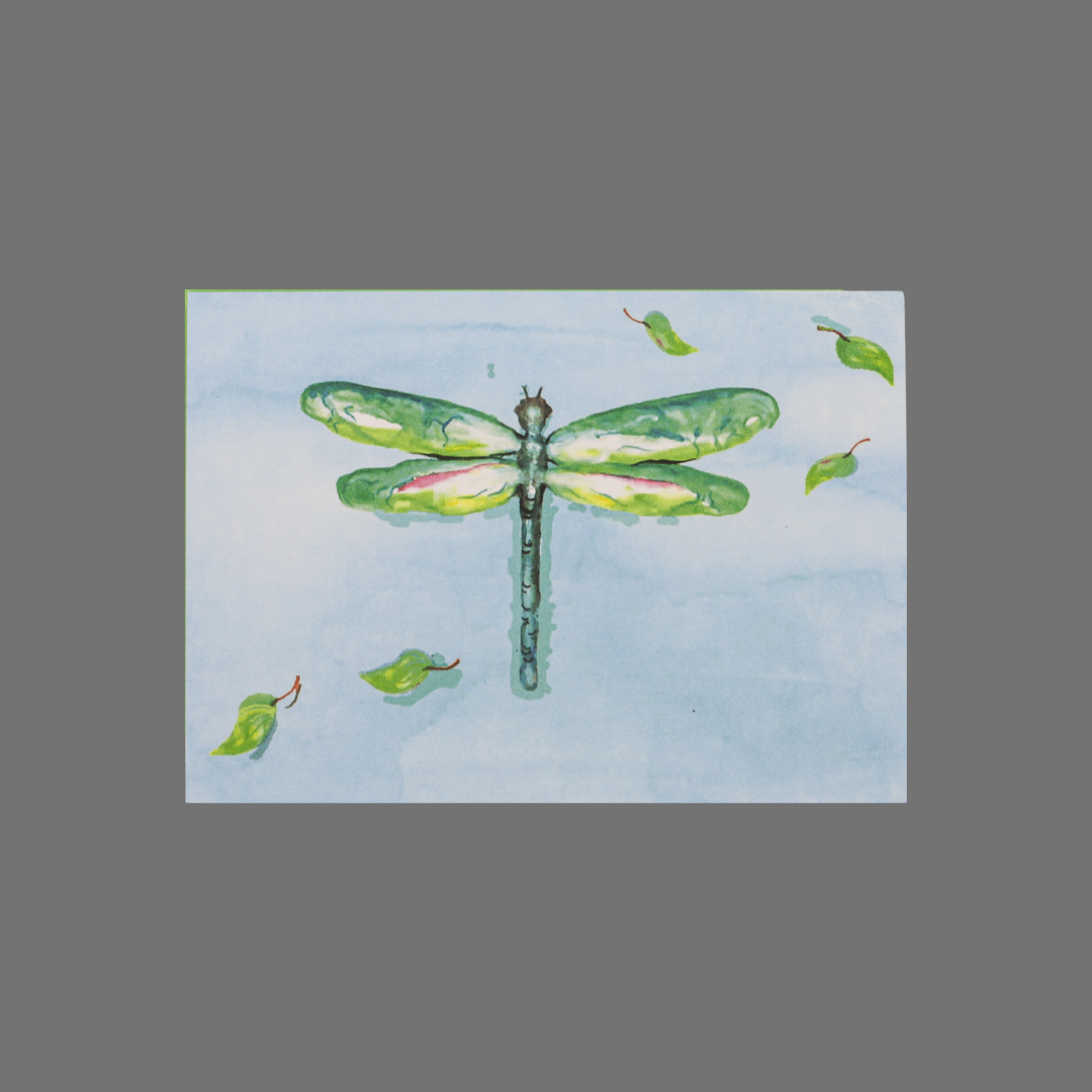 Pack of 8 - Colorful Dragonfly Over Water and Leaves (10015)