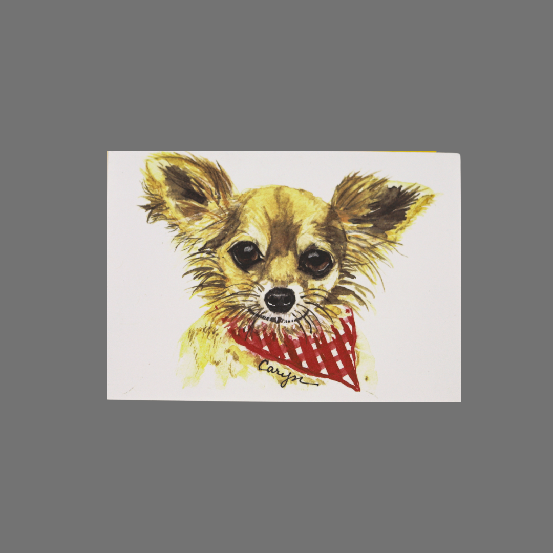 Pack of 8 - Dog with Red Bandana (10064)
