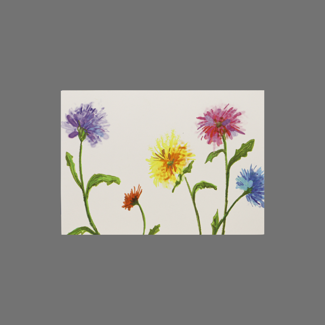 Pack of 8 - Five Simple Flowers of Purple, Orange, Yellow, Pink and Blue (10045)
