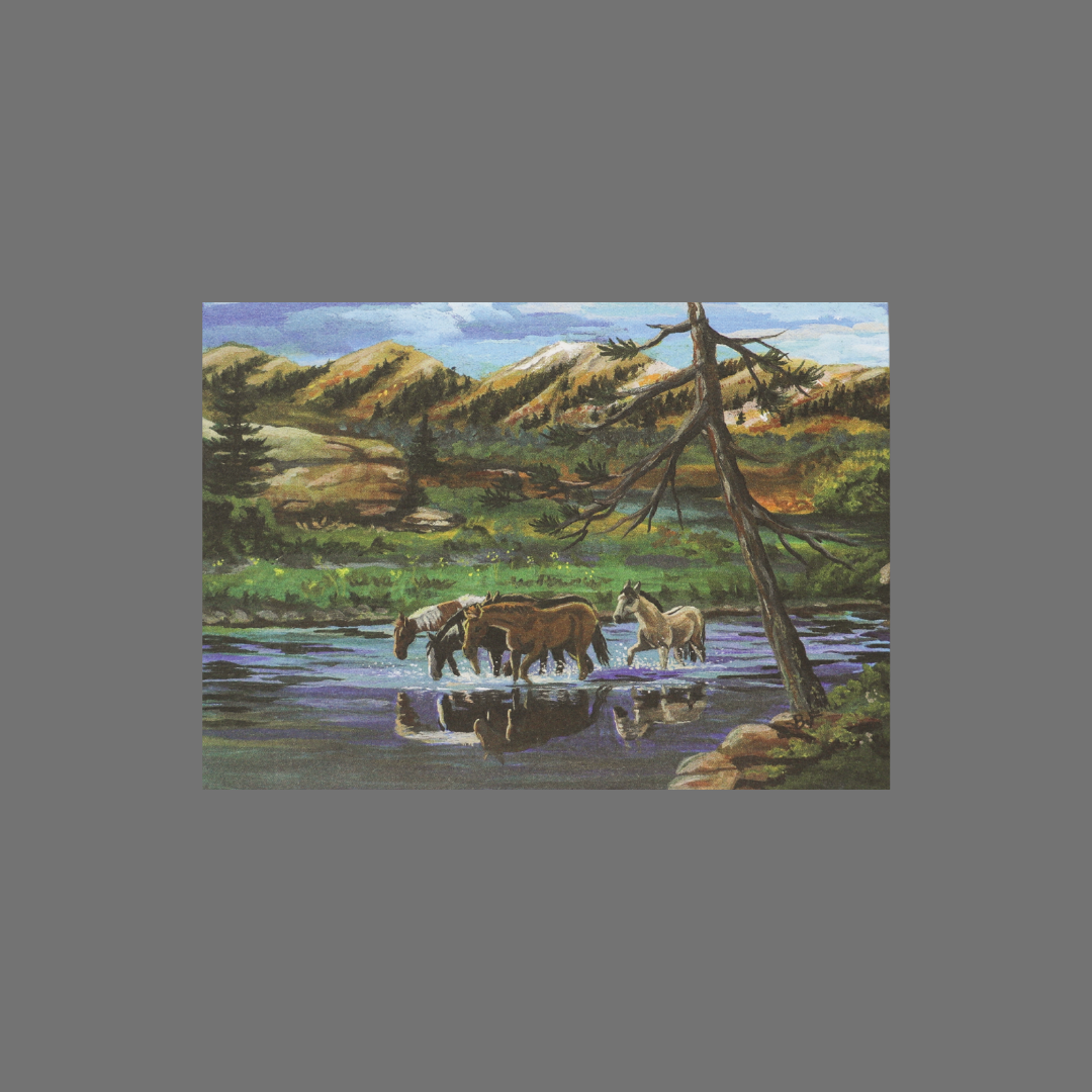 Pack of 8 - Four Horses in River with Mountains (10036)