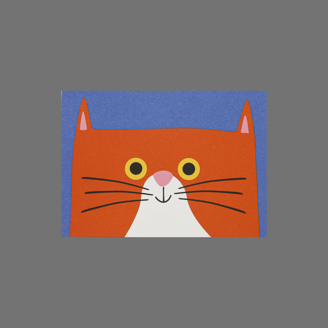 Pack of 8 - Orange Cat with Blue Background (10041)