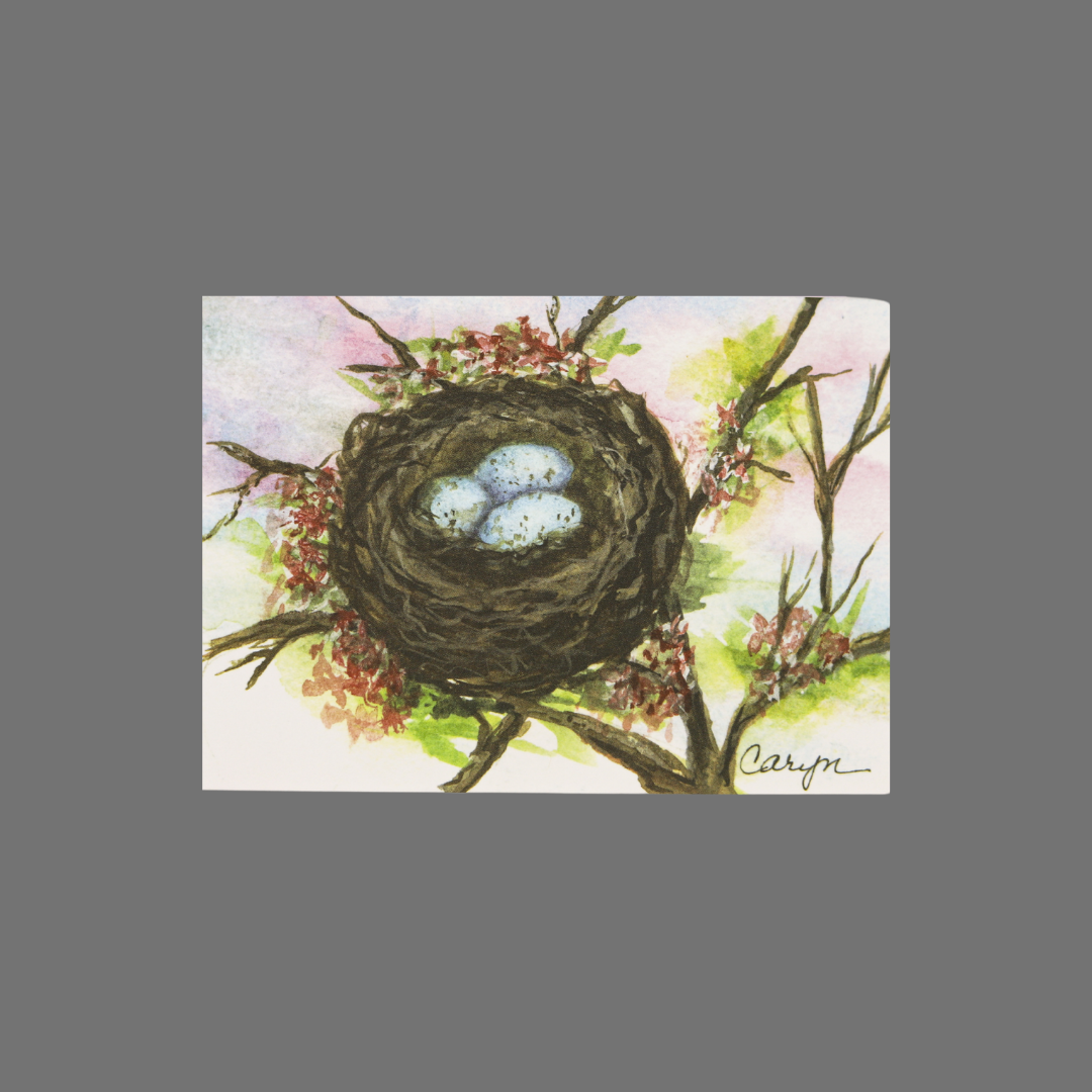 Pack of 8 - Robin Eggs in Nest (10067)