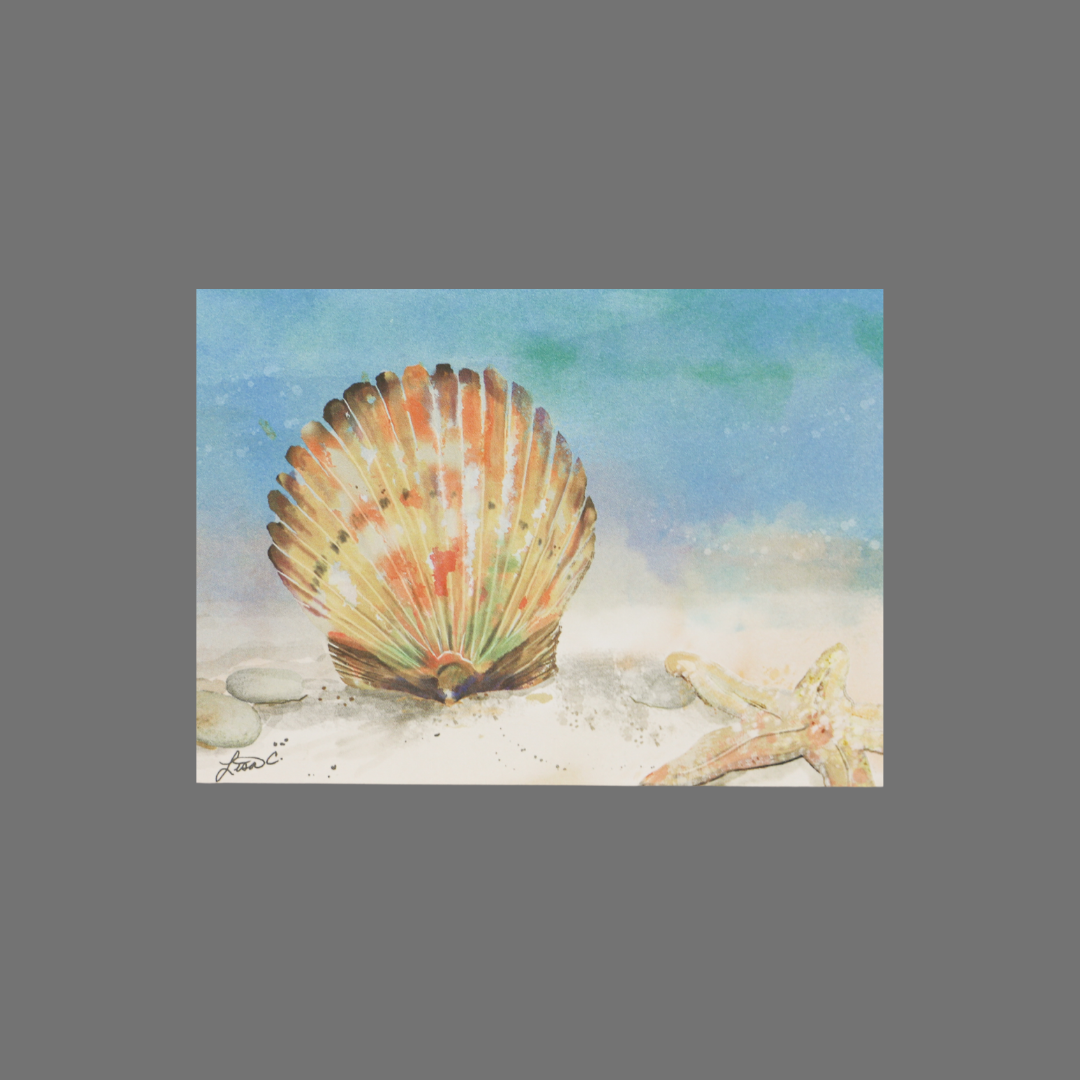 Pack of 8 - Shell and Starfish on Ocean Bottom (10053)