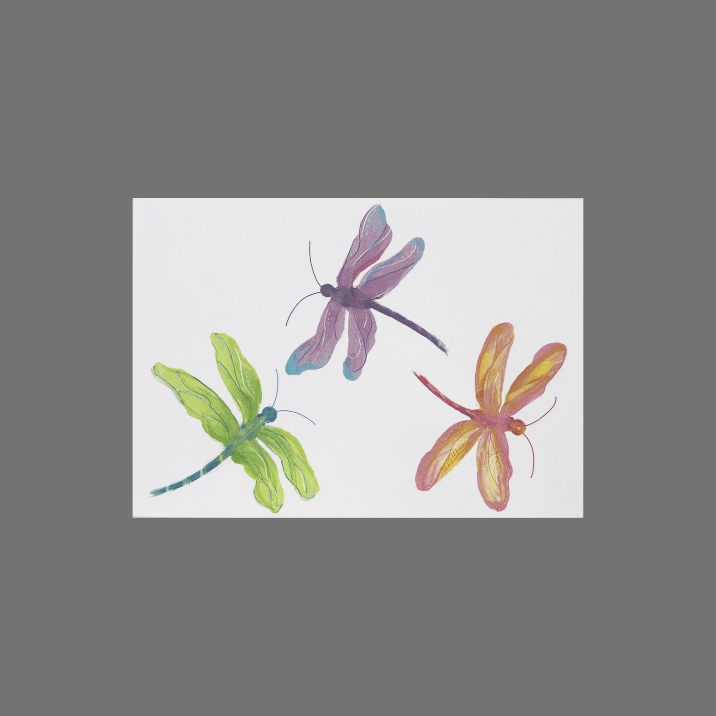 Pack of 8 - Three Dragonflies (10081)