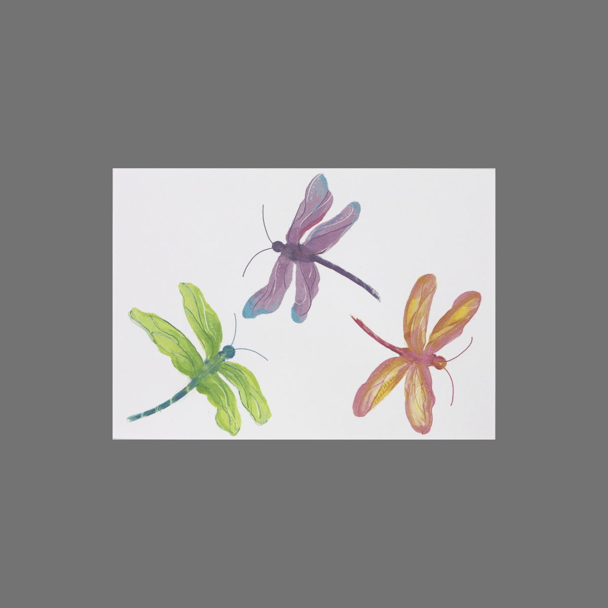 Pack of 8 Three Dragonflies (10081) JuLu Cards