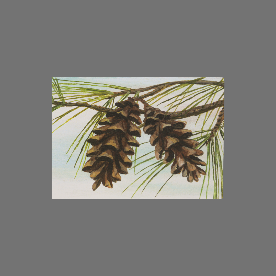 Pack of 8 - Two Pinecones on Evergreen Branch (10042)
