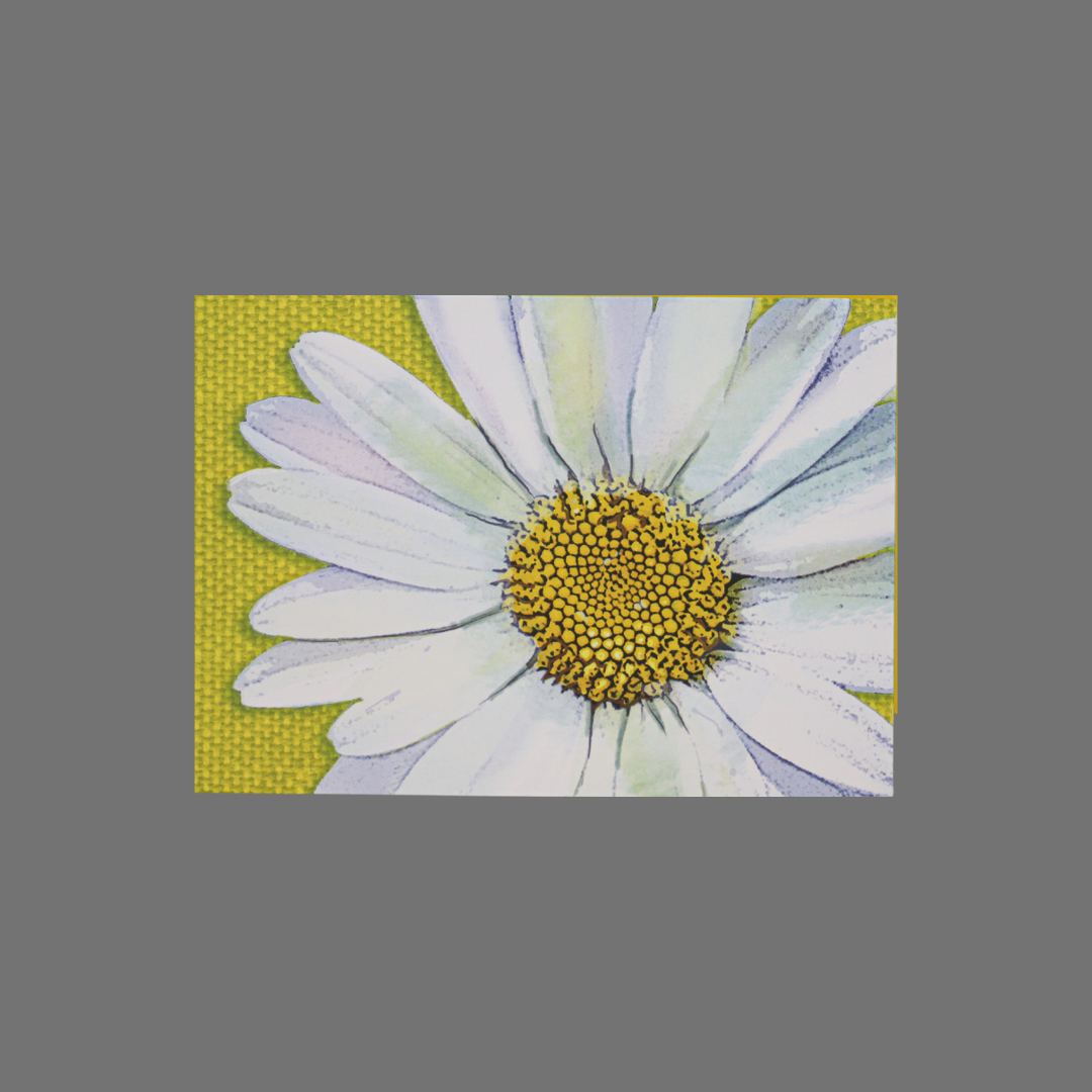 Pack of 8 - White Flower with Yellow Background (10018)