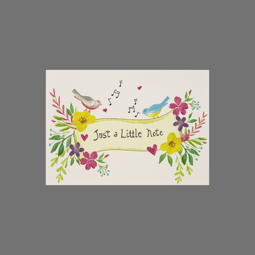Pack of 8 - "Just a Little Note" (10065)
